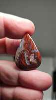 Hand-held photo showing front face and shape of the red crazy lace agate pear cabochon exhibiting natural band patterns.