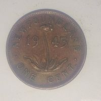 Close-up of the reverse side of the 1943 Newfoundland One Cent coin showing the year, plant motif, and text 'NEWFOUNDLAND ONE CENT'.