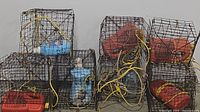 Seven metal square crab pots arranged in two rows with yellow ropes and red and blue buoys inside or attached. The crab pots are made of dark metal wire grid and show signs of use and rust.