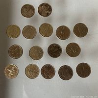 Top and bottom sides of 16 Canadian Loonie coins laid out on white background showing various designs including commemorative editions.