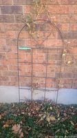 Arched steel garden trellis with central scroll detail, weathered and attached dried vines against a brick wall.