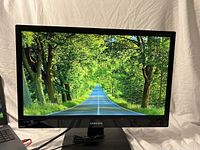 Front view of Samsung Sync Master S24B240 monitor displaying a scenic road and forest image with vibrant colors.