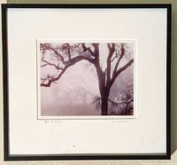 Front view of framed photograph showing image, mat, and frame