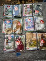 Full lot of six Ty Beanie Babies in their original plastic packaging with inserts, displayed on a textured surface.