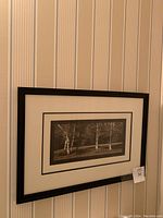 Framed black and white nature photograph depicting birch trees, hung against a striped wallpapered wall.