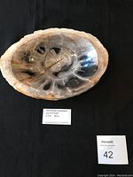 Top view of polished petrified wood bowl showing oval shape, polished interior with natural color variations and grain patterns.