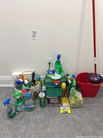 Photo showing a broad view of the full lot with mop, bucket, cleaning sprays and pads arranged on floor.