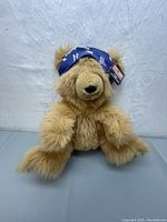 Full front view of the plush bear showing its furry texture, bandana, and seated posture.