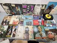Overview of the vinyl records and covers, showing various Portuguese artists and some portraits.