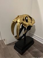 Three-quarter profile view of black and gold saber-tooth skull on pedestal