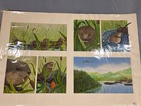 Photo of the original art sheet showing six separate illustrations of otters in a marsh setting and a landscape scene.