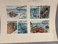 Overview of the full sheet featuring eight individual watercolor illustrations showing walruses and seals on and under ice in the ocean, capturing various natural poses and groupings.
