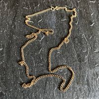 Full length view of chain laid out on dark background showing overall shape and length