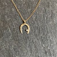 Close-up of horseshoe pendant on chain against dark background