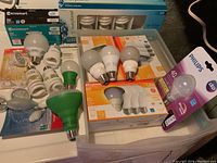 Wide view of all bulbs and boxed sets including wrapped and unwrapped bulbs showing brand names and packaging details.