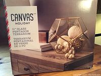 Product box showing the terrarium’s dimensions and brand Canvas Holiday.