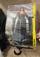 Plus size Lady Confederate costume sealed in original plastic packaging with Spirit branding.