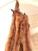 Three mink fur stoles hanging, showing fur texture, tails, and heads intact.