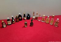 Full view of all 16 miniature liquor bottles arranged in a row on a red surface, showing various shapes and label designs.