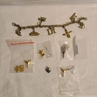 Full lot of two charm bracelets and multiple loose charms in plastic bags on a white surface.