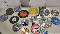 Top-down view of various saw blades and abrasive cutting wheels spread on a table, showing different sizes and brands.