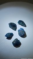 Five natural blue Apatite rough crystals arranged on a white surface under neutral lighting showing their raw crystalline form, color, and texture.