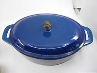 Top view showing blue enamel lid with knob and overall shape