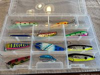 Overview photo showing eleven fishing lures of different colors in a plastic tackle box.