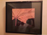 Full view of the framed maple leaf photograph, showing the black frame and indication of damage at the top.