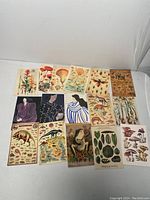 Full view of all 16 art prints laid out on white surface showing various subjects including dinosaurs, plants, mushrooms, insects, and fashion illustrations.