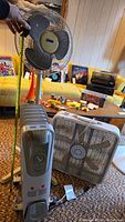 Photo showing all three items: standing oscillating fan, box fan, and oil-filled radiator heater grouped and placed on carpet.