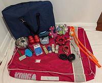 Photo showing entire lot including large KONG dog bed, blue EliteField soft dog crate, assorted dog toys, treats bags, brushes, collars, leashes, bowl, nail clippers, and accessories neatly arranged on floor.