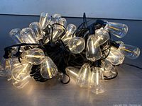 Clear plastic bulb covers with LED lights inside on black cable, lit up and bundled together