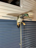 Side view of plastic mallard duck decoy mounted on steel pole showing detailed painted features and extended wings.