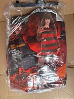 Photo of packaged Miss Freddy Krueger costume showing female model wearing the costume, includes hat, dress and glove, size Plus XXL apparently new or lightly used.