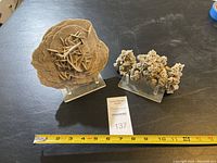 Overview of two desert rose crystal clusters with measuring tape for size reference and acrylic stands included.