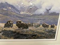 Close-up view of the signed artist proof print showing details of muskoxen and the mountainous landscape with visible signature and artist proof marking.