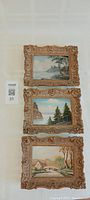 Front view of three framed mini oil paintings, each with detailed natural and coastal scenes.