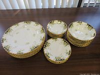 Photo showing all plates, saucers, and bowls neatly stacked to illustrate quantity and pattern.