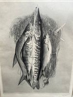 Close-up of the etching showing five fish hanging with fishing line and float, detailed black and white print.