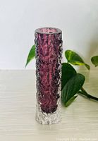 Front view of the tall cylindrical glass vase showing the deep aubergine textured bark design inside the clear glass outer layer.