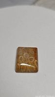 Front view of a square cabochon fossil coral gemstone showing detailed natural coral patterns and glossy surface.