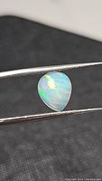 Close-up photo of a pear-shaped translucent opal cabochon showing bright rolling rainbow colors held by tweezers.