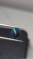 Oval cabochon black opal held by tweezers showing bright blue, green, and some red flashes on dark body tone.