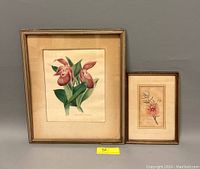 View of two framed botanical prints side by side showing natural aging stains and wood frames.