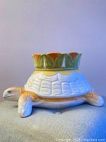 Front-right view showing brown-tan turtle legs, detailed face, and colorful planter top.