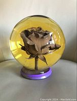 Side view of amber glass globe with preserved rose inside on a circular base