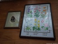 Photo showing the two framed embroidery artworks: a wildflower chart and a dog portrait.
