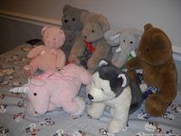 Eight assorted stuffed animals on bed: four bears, one elephant, one unicorn, one husky dog