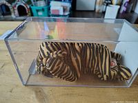 Photo showing Stripes the Tiger Beanie Baby plush toy in black and orange stripes inside a clear display case.